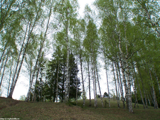 29413 (a): :1024x768